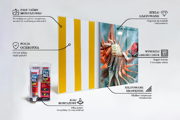 Spatplaat keuken Lieveheersbeestje Rode kever