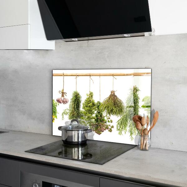 Spatscherm keuken glas Gedroogde kruiden, kruidengeneeskunde