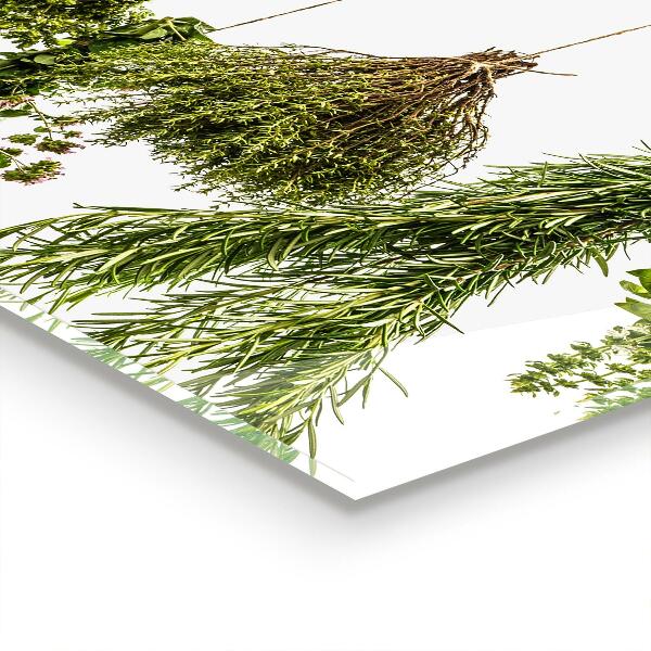 Spatscherm keuken glas Gedroogde kruiden, kruidengeneeskunde