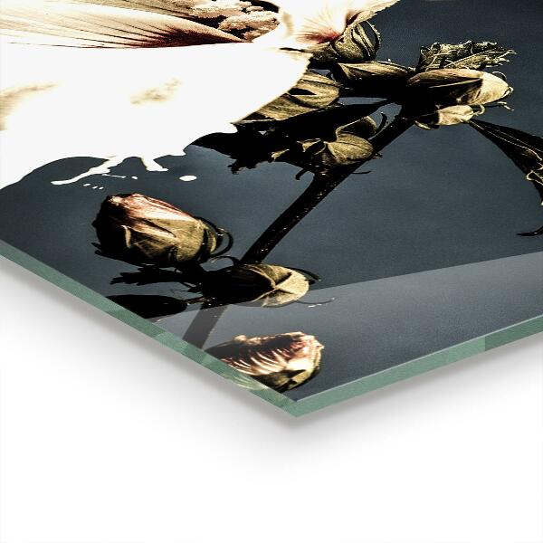 Achterwand keuken Abstracte witte bloem