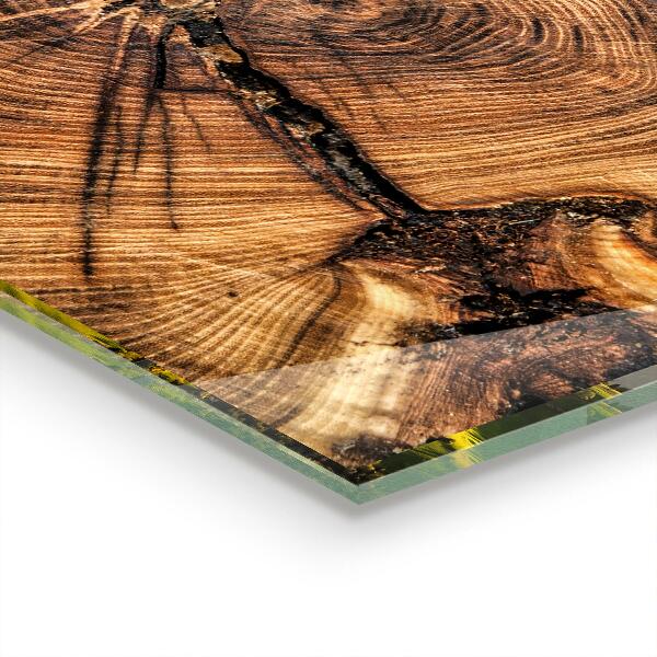 Spatplaat keuken Textuur van de romp