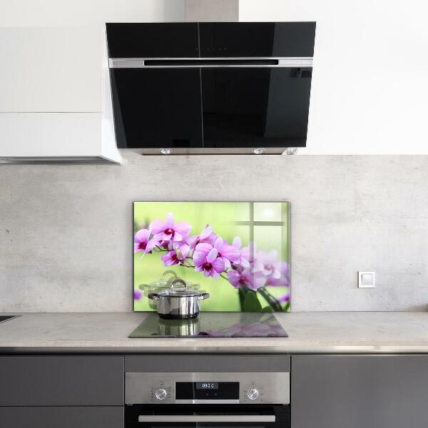 Keuken achterwand glas Paarse orchidee