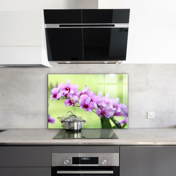 Keuken achterwand glas Paarse orchidee