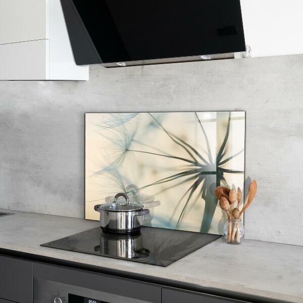 Spatplaat keuken Prachtige, delicate paardenbloem