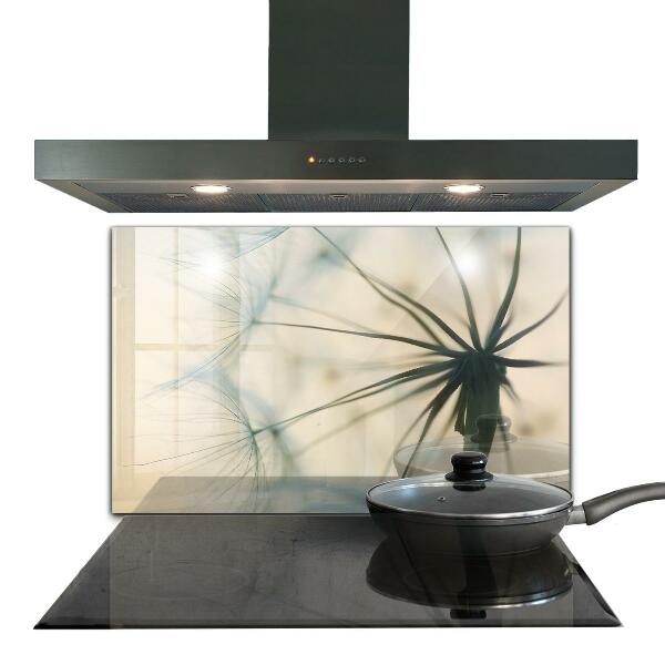 Spatplaat keuken Prachtige, delicate paardenbloem