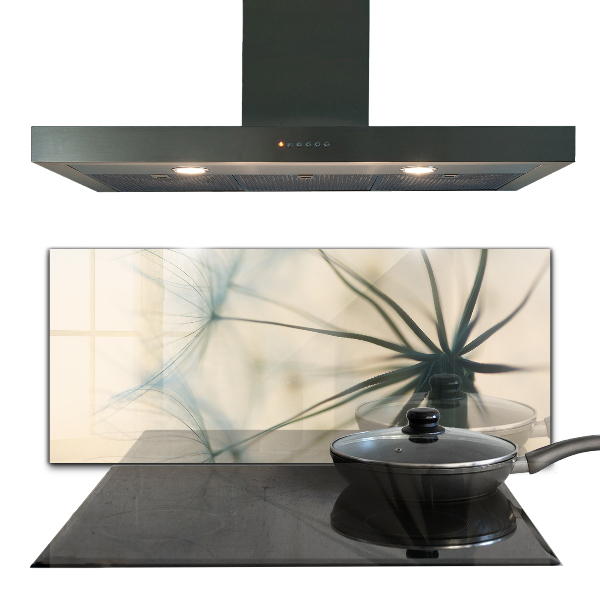 Spatplaat keuken Prachtige, delicate paardenbloem