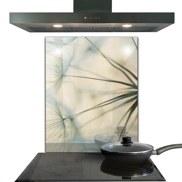 Spatplaat keuken Prachtige, delicate paardenbloem