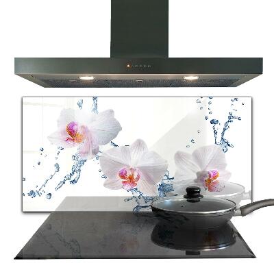 Keuken achterwand glas Waterdoordrenkte orchidee