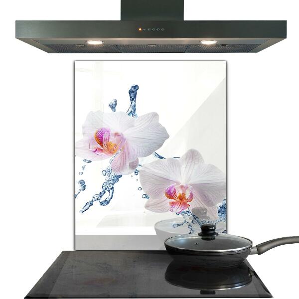 Keuken achterwand glas Waterdoordrenkte orchidee