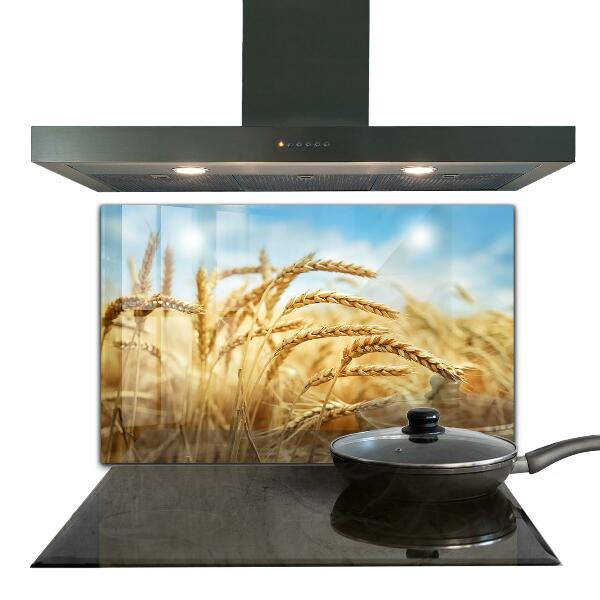 Spatscherm keuken glas Graangeschenken van Moeder Natuur