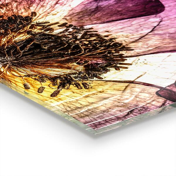 Keuken achterwand glas Details van delicate bloemen