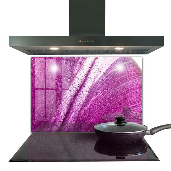 Spatscherm keuken glas Delicaat roze blad