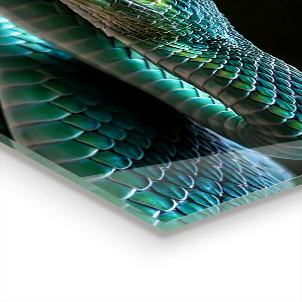 Keuken achterwand glas Slangen in het wild