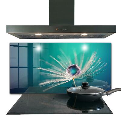 Keuken achterwand glas Paardenbloem met een dauwdruppel