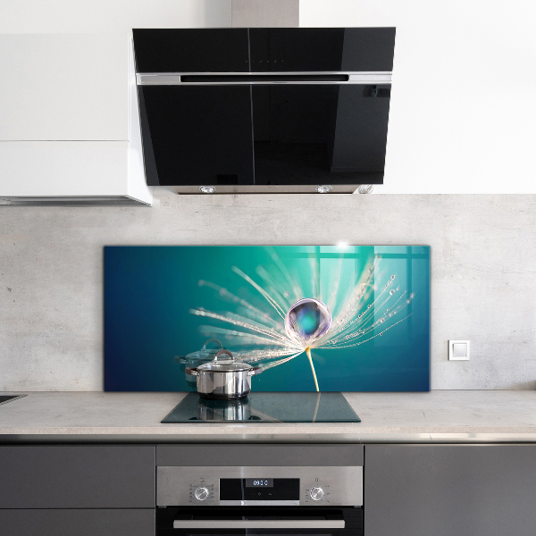 Keuken achterwand glas Paardenbloem met een dauwdruppel