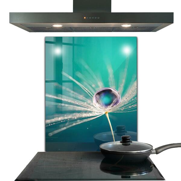 Keuken achterwand glas Paardenbloem met een dauwdruppel