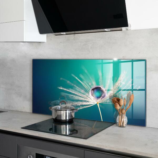 Keuken achterwand glas Paardenbloem met een dauwdruppel