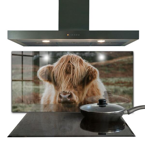 Spatscherm keuken glas Cow Highland-stijl cottage