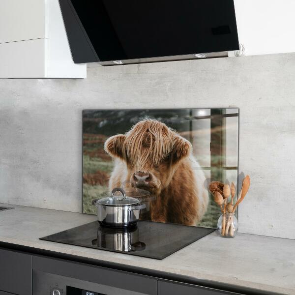 Spatscherm keuken glas Cow Highland-stijl cottage