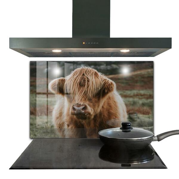 Spatscherm keuken glas Cow Highland-stijl cottage