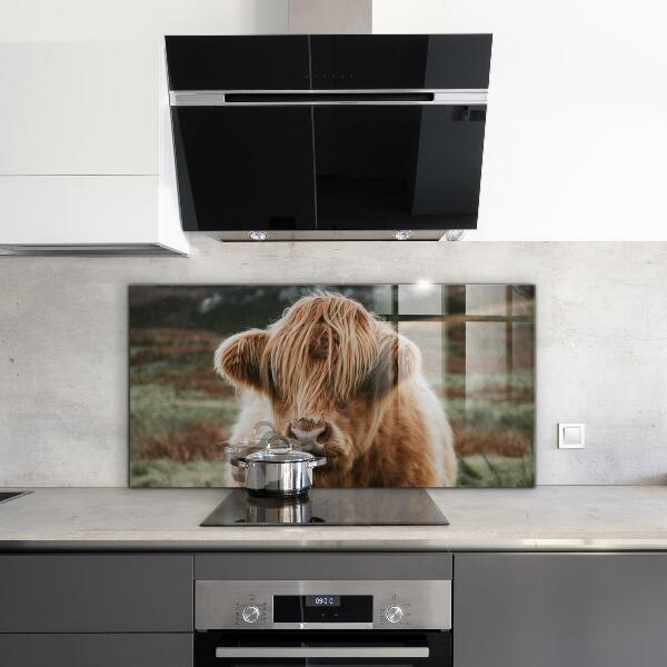Spatscherm keuken glas Cow Highland-stijl cottage