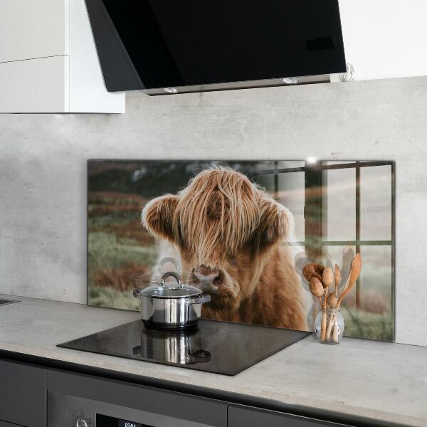 Spatscherm keuken glas Cow Highland-stijl cottage