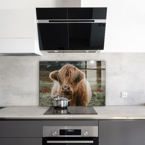 Spatscherm keuken glas Cow Highland-stijl cottage