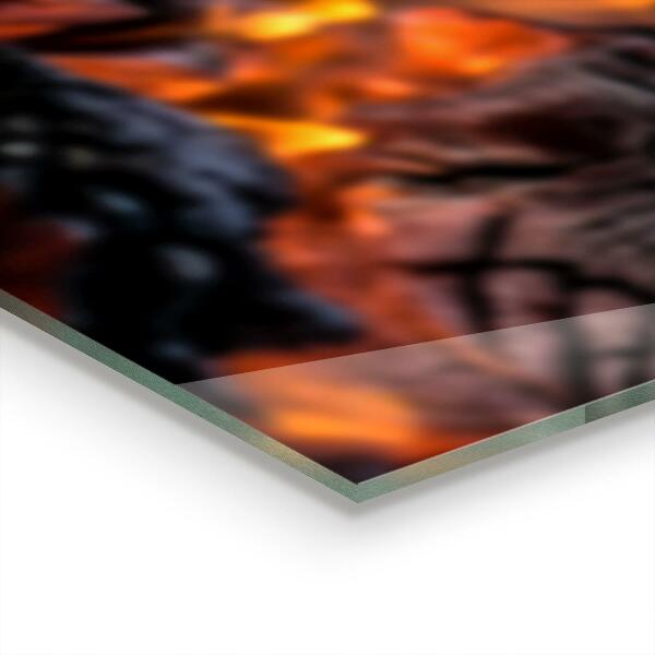 Spatscherm keuken glas Brandend vreugdevuur