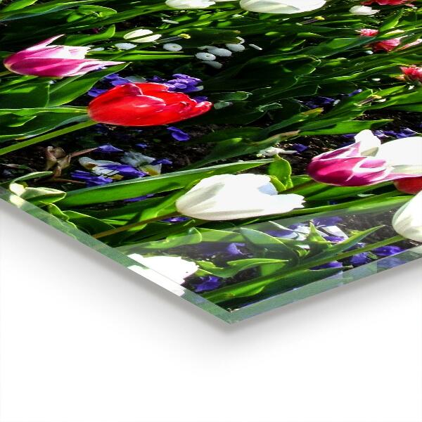 Achterwand keuken Zomerbloemenweide