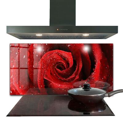 Foto achterwand keuken Dauwdruppels op een rode roos