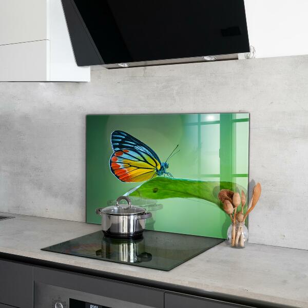 Foto achterwand keuken Vlinder die rust op een blad