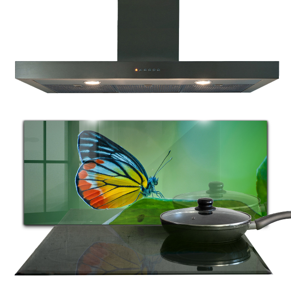 Foto achterwand keuken Vlinder die rust op een blad