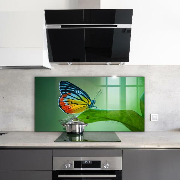Foto achterwand keuken Vlinder die rust op een blad