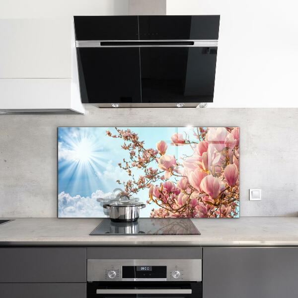 Foto achterwand keuken Bloeiende magnolia