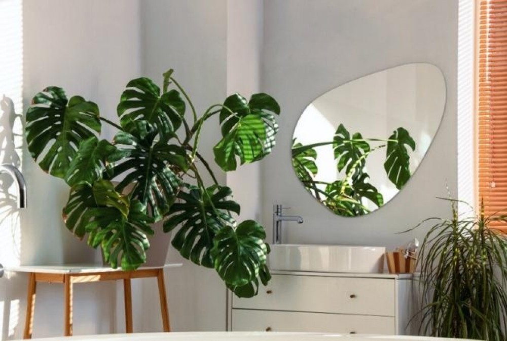 spiegel voor een witte badkamer